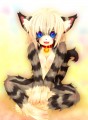 あぐら花梨