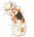 おいでよ～♪