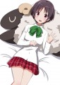 ナイトシエスタ