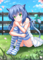 Mysterious catgirl ~