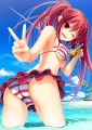 きれいな貝殻発見！