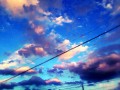 青と白で創り出す世界