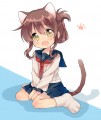 にゃのです