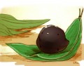 れんこん菓子　西湖