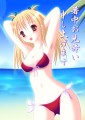 暑中見舞い