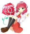 ✿✿✿