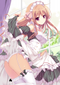 俺のちょっとHなメイドさん