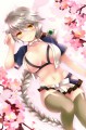 雲龍ちゃんと桜