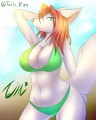 メスケモ, パーティー!