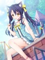 ねこみみ★