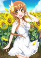 万里花さんスリーブ