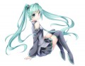 ミクさん
