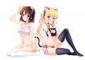 黑と白の猫ω