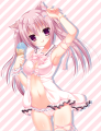 ♥水着にゃんこ♥