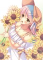＊ひまわり＊