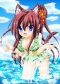 今年の夏の思い出