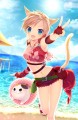忍者ミコッテちゃん