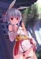 ネコには内緒なのです！