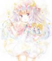 パチュリーと色紙