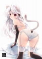 白猫さん