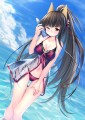 赤城泳装