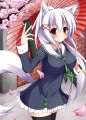 桜狐graduation
